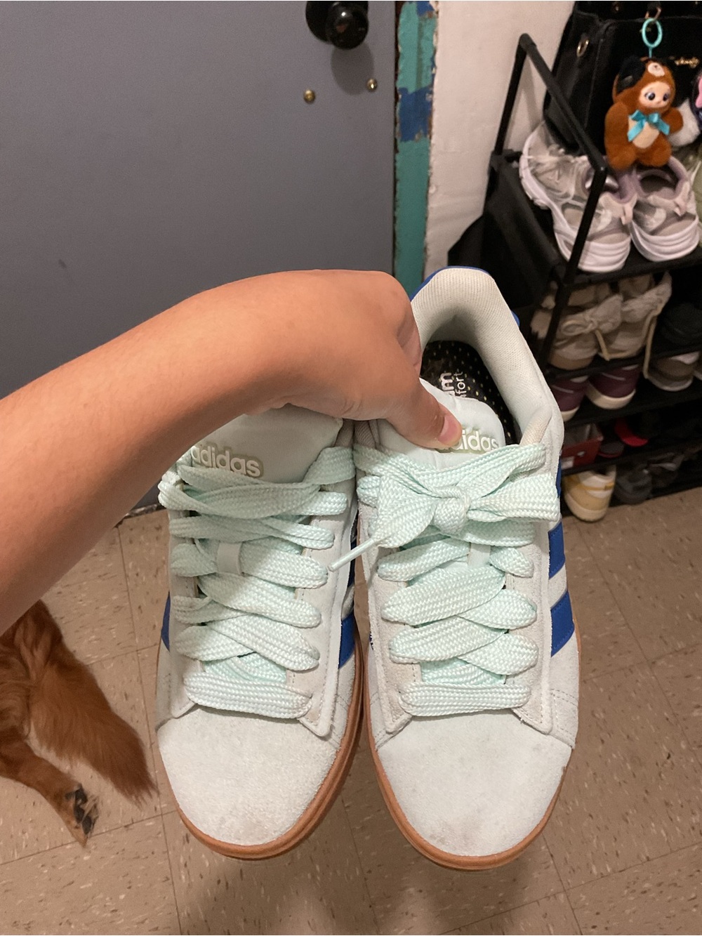 adidas woman’s light blue and navy/dark blue Low-Top Sneakers